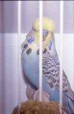 127-3.jpg (26248 bytes)